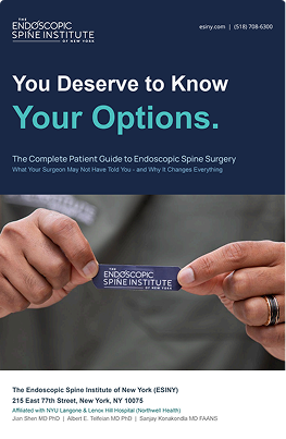 Cover of the Complete Patient Guide to Endoscopic Spine Surgery e-book